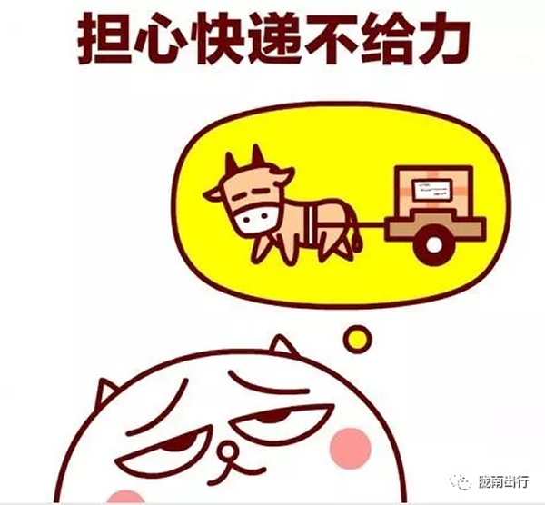 隴運(yùn)集團(tuán)武都汽車站、成縣汽車站、康縣汽車站快運(yùn)